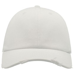 Dad Hat Destroyed