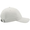 Dad Hat Destroyed