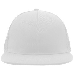 Snap Mesh
